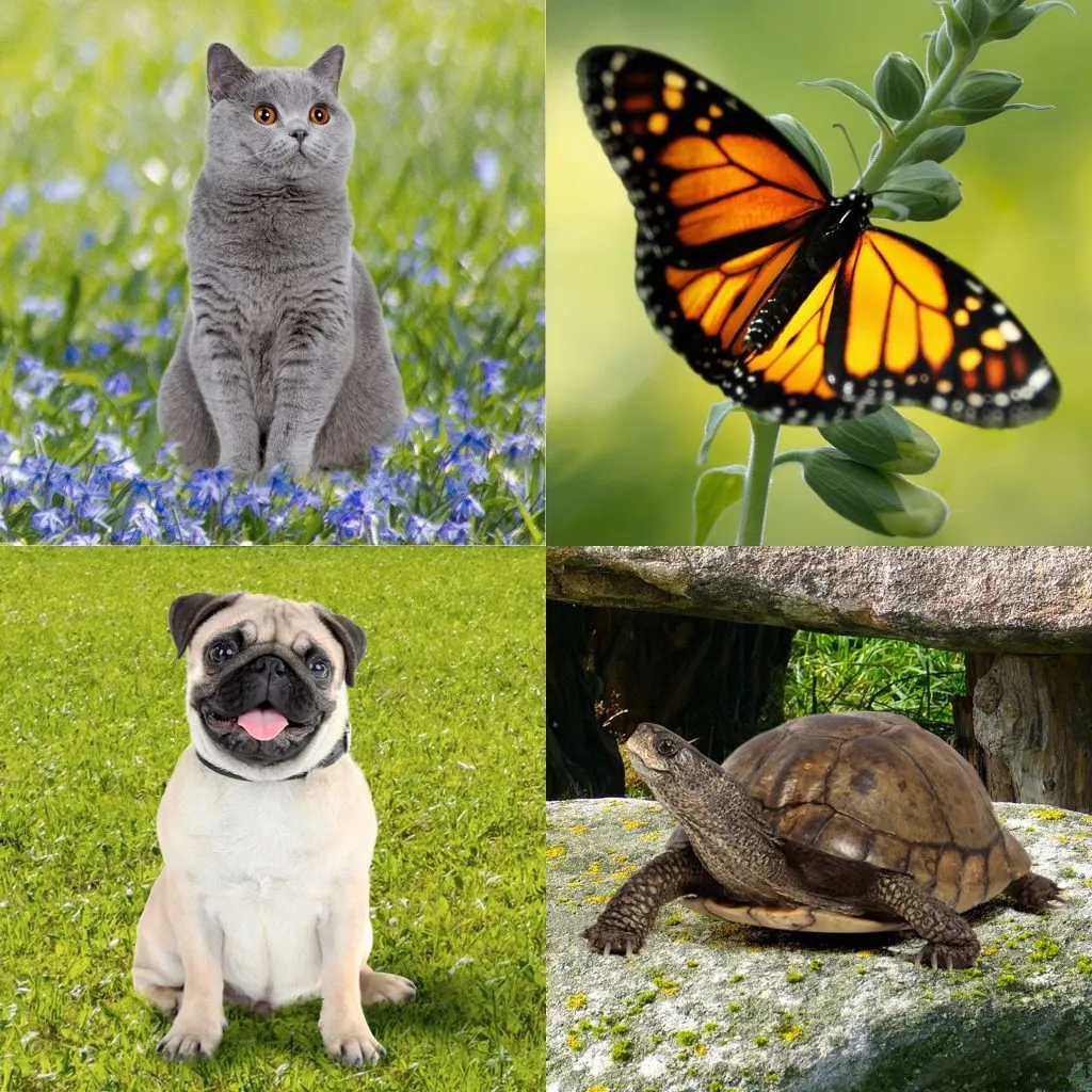 Animals | Base Animals/Hybrids, Rarity, Yield | CryptoZoo World